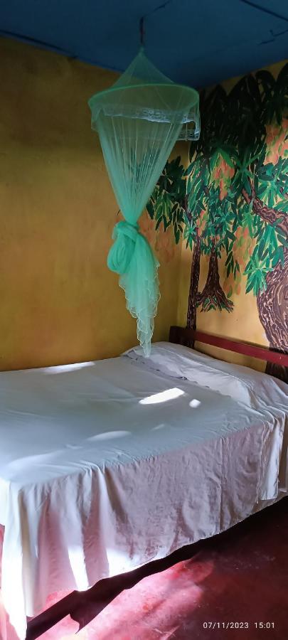 Hostel La Gloria Ometepe Exterior photo